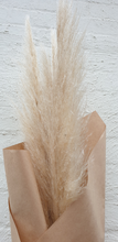 Load image into Gallery viewer, Preserved Pampas | Grown Florist