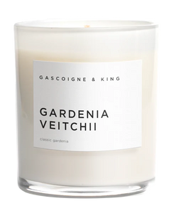Ray of Light Candle | Grown Florist