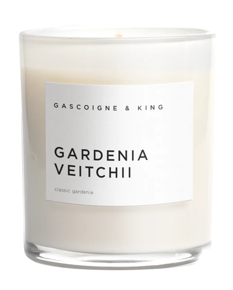 Ray of Light Candle | Grown Florist