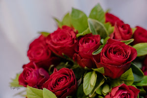 Red Rose Posy
