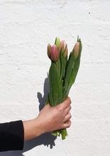 Load image into Gallery viewer, Florist Delivery Melbourne