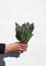Load image into Gallery viewer, Florist Delivery Melbourne