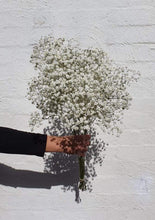 Load image into Gallery viewer, Gypsophilia | Grown Florist