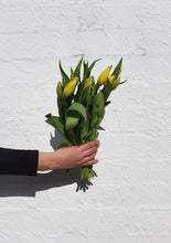 Load image into Gallery viewer, Florist Delivery Melbourne