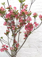 Load image into Gallery viewer, Dogwood