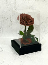 Load image into Gallery viewer, Preserved acrylic rose cube