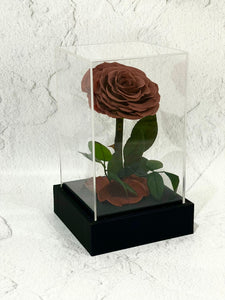 Preserved acrylic rose cube