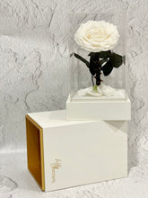 Load image into Gallery viewer, Preserved acrylic rose cube
