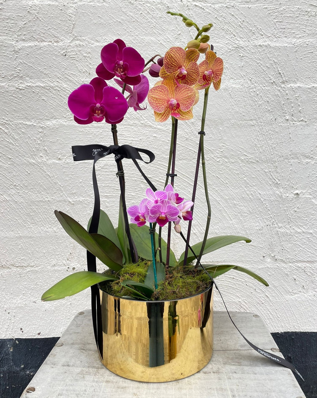 Metallic Phalaenopsis Vase - Medium