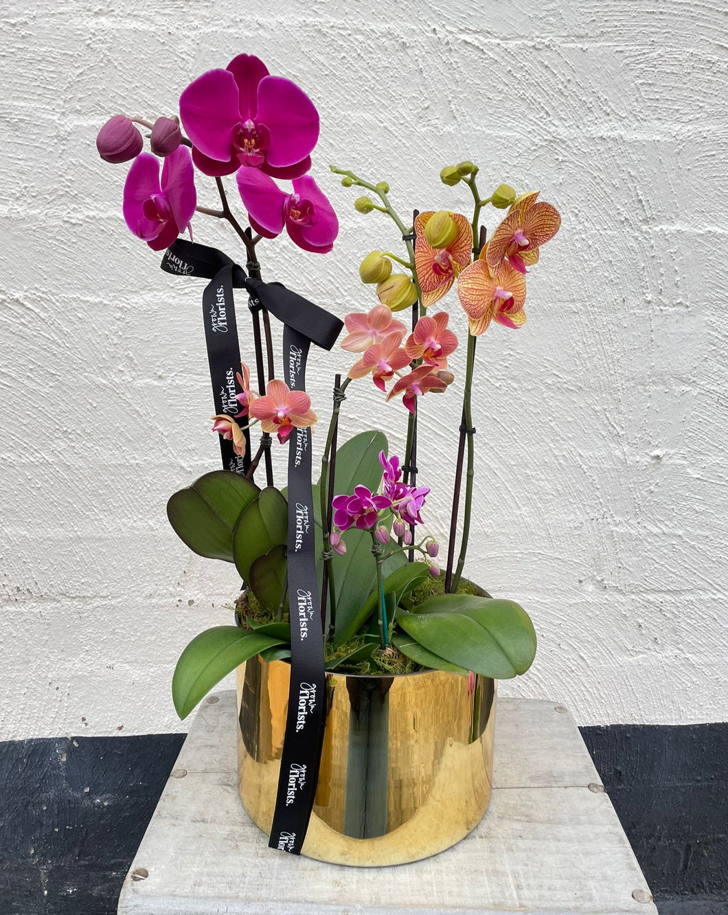 Metallic Phalaenopsis Vase - Large