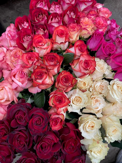 Tall 60cm roses