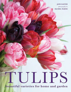 Tulips: Beautiful Varieties For Home And Garden