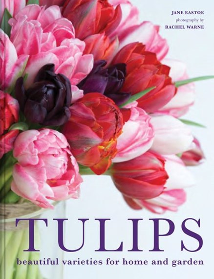 Tulips: Beautiful Varieties For Home And Garden