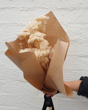 Load image into Gallery viewer, Preserved Rice Flower | Grown Florist